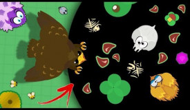 I GOT GOLDEN EAGLE AND WENT INTO BLACK HOLE OF MOPE.IO