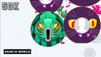 50K + *CRAZY* AGAR.IO DESTRUCTIONS! (Agar.io Mobile Gameplay!)