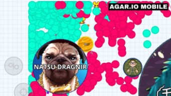 MASS IN CORNER "AFK TROLLING!" FUNNY + BEST GAMEPLAY!! (Agar.io Mobile)