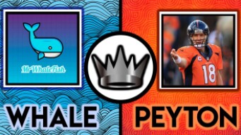 Surviv.io - MrWhaleFish VS Peyton Manning || Platinum Cup || Pro 1v1 Gameplay