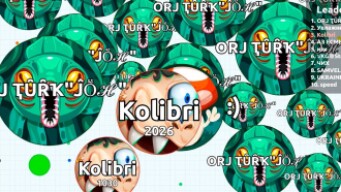 SUPERIOR AGARIO SOLO REVENGE ( Agar.io Solo Gameplay )