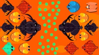 KING DRAGON VS BLACK DRAGON || ALPHA PHOENIX KILLED BLACK DRAGON || MOPE.IO