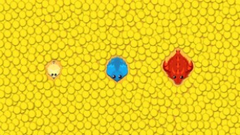 SOLO FOX TO LAND MONSTER || WITH MELONS ONLY || mope.io