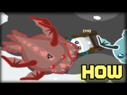 STARVE.IO - HOW TO DO DRAGON GEAR? ( in active server  )