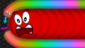 Slither.io Tiny Snake vs Big Trolling Snake 1,010,000+ Score (Epic Slitherio Gameplay)