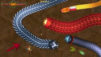 Little Big Snake - Ular Paling Ganas