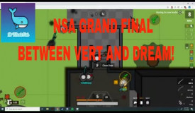 NSA Final  Vert vs Dream! INSANE PRO WAR Surviv.io