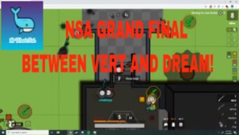 NSA Final  Vert vs Dream! INSANE PRO WAR Surviv.io