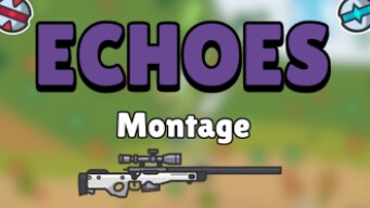 ZombsRoyale - 1000 Subscribers Special Montage : Echoes