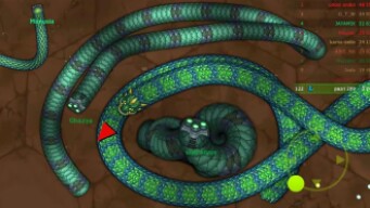 Little Big Snake - Ular Bar Bar