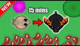 MOPE.IO HOW TO LEVEL UP FAST TO BLACK DRAGON / HOW TO GET BLACK DRAGON UNDER 15 MINS IN MOPE.IO