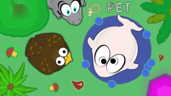 STORY of GOLDEN EAGLE And His PET in MOPE.IO