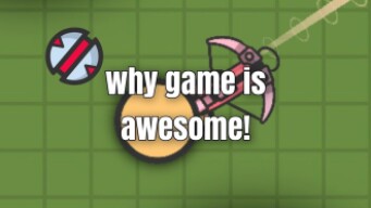 Reasons why we play zombsroyale (no reasons were mentioned)