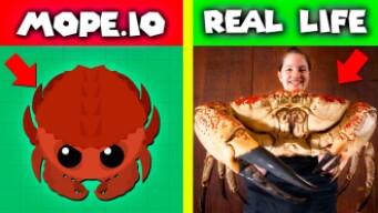 MOPE.IO VS REAL LIFE \\ KING CRAB \ BLACK WIDOW \ CROCODILE