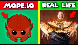 MOPE.IO VS REAL LIFE \\ KING CRAB \ BLACK WIDOW \ CROCODILE