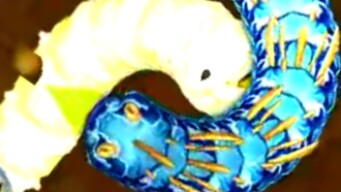 New Skins Little Big Snake.io best Gameplay 001 - Top 1 Slither.io world record - eMenT cOoL