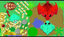 MOPE // AFTER THE GLITCH THEN FARMS 5000000XP WITH BEE's ONLY (Challenge) // QUEEN SCARLET VS DRAGON