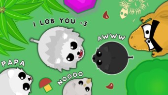 Love Story of a BLACK LIONESS & WHITE LION in MOPE.IO
