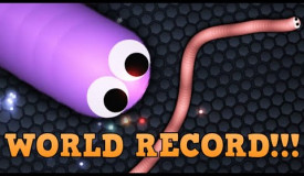 playing Slither.io for 100 days(World Record)