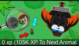 Mope.io ULTRA RARE 0XP BLACK LION & BLACK MANED Trolling *KING DRAGON* in Mope.io