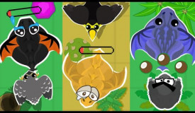 Toucan kills BLACK DRAGON!+Mope.io story/Gorilla/Falcon kills BDs!Mope.io Funny Momments/Trolling