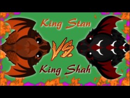LEGENDARY KING STAN VS KING SHAH - Mope.io Developpers Epic King Dragon Fight