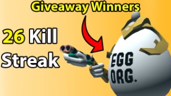 Giveaway Winners + 26 Kill Streak! | Shell Shockers