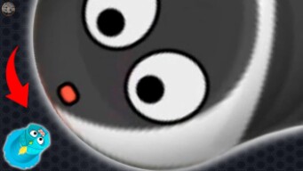 Wormate.io Legendary Giant Worm Trapping Tiny Worm In Wormateio Epic Gameplay Best Moments