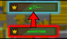 How to Get a Custom Name Without Logging in! | surviv.io