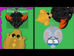 When You Get KING DRAGON By LUCK Then DOWNGRADE TO MOUSE in Mope.io