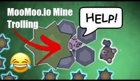 MooMoo.io: Trapping pets in a mine trap with bat! Trolling hackers and building a giant base!