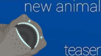 Sneak Peek, Animals and skins that should be added : Deeeep.io