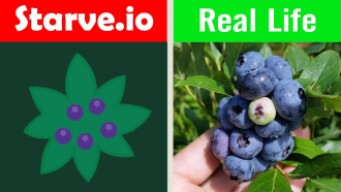 STARVE.IO VS REAL LIFE