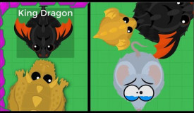 When You Get KING DRAGON By LUCK Then DOWNGRADE TO MOUSE in Mope.io