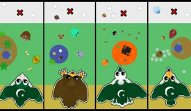 FASTEST RARE BIRDS in MOPE.IO // DESERT TO ARCTIC with PAKI BIRDS in MOPE.IO