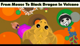 ONLY VOLCANO BIOME CHALLENGE In Mope.io - From Mouse To Black Dragon