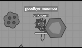 This is Why I am quitting Moomoo.io