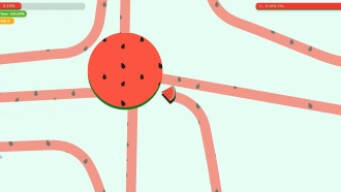 Paper.io 3 Map Control: 100.00% [Invisible watermelon]