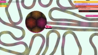 Paper.io 7 Map Control: 100.00% [Slither.io]