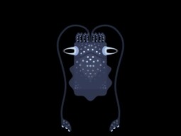 i play deeeepio tffa solo cursed