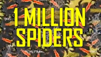 ONE MILLION SPIDERS EVER RECORDED IN MOPE WORLD!