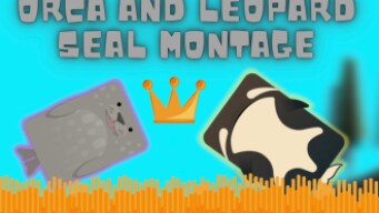 Orca And Seal Montage - Deeeep.io