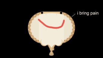 deeeep io is the most balanced video game in the world