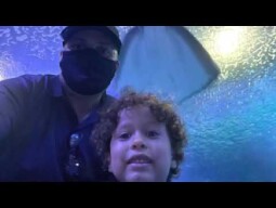 Oceanario Valencia 2 #192