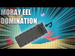 Moray Eel murders a lot in deeeep.io