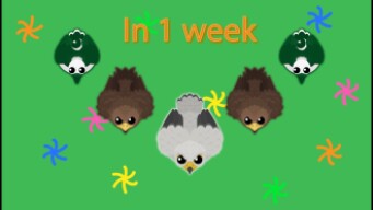 mope.io: My LUCKIEST WEEK of SUPER RARE animals and killing a PAKISTAN VULTURE