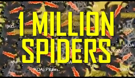 ONE MILLION SPIDERS EVER RECORDED IN MOPE WORLD!