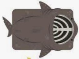 Deeeep.io Basking shark vs Shark and Sawfish 1v1