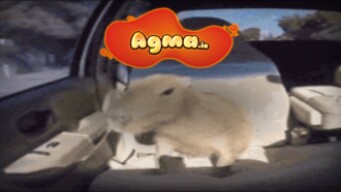 1v1ing another Agma.io Youtuber