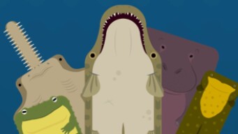 Swamp Animals! (The best animals) (Deeeep.io)